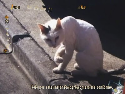 [PV] Aluto - Michi ~To you all~ Sub Español Kamikaze!!!!! ~ Kamikaze Storm